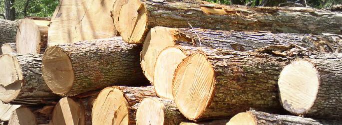 Copeland Lumber operations