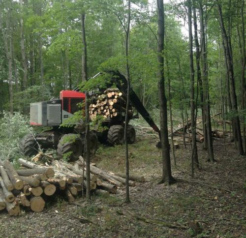Timber harvesting equipment